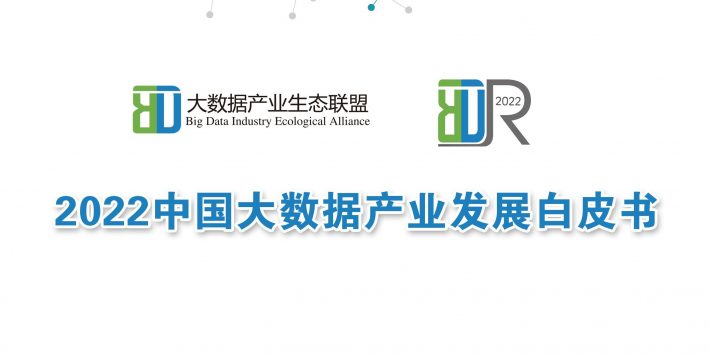 2022中国大数据产业发展白皮书