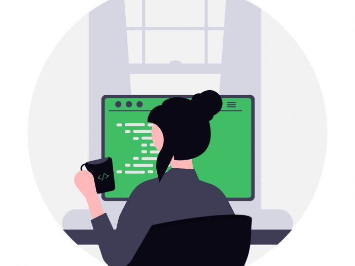 undraw_programmer_raqr