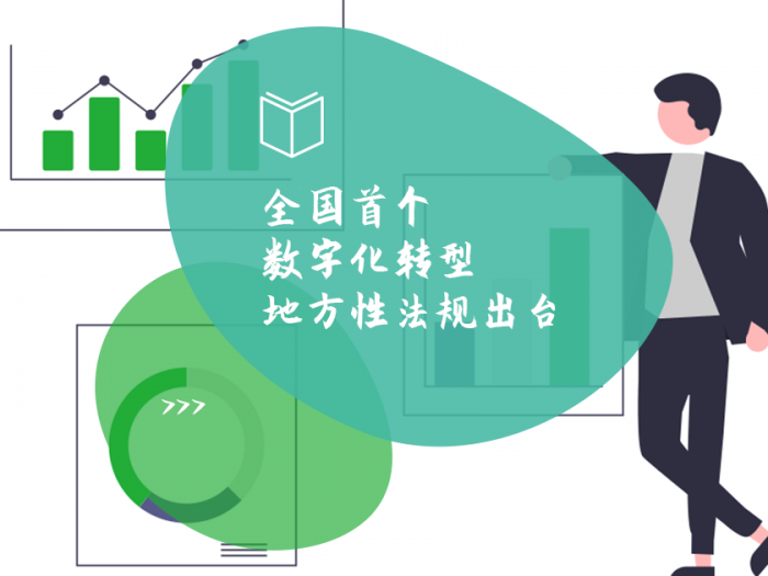 全国首个数字化转型地方性法规出台