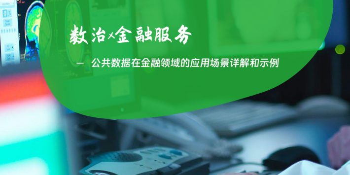 公共数据在金融领域的应用场景详解和示例