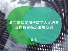 北京市印发加快数字人才培育支撑数字经济发展方案