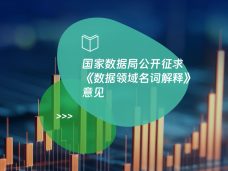 国家数据局公开征求《数据领域名词解释》意见