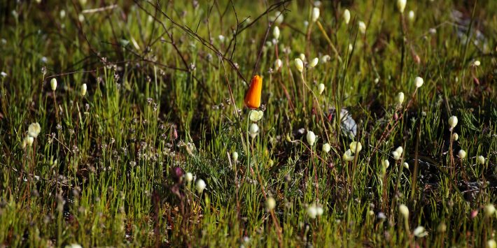 上交所印发行动方案 提高沪市公司ESG信息披露质量