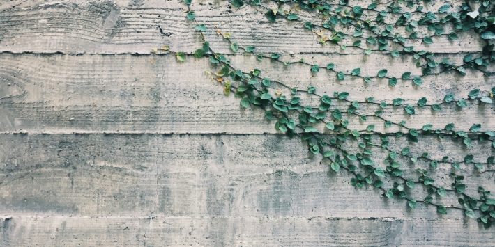 深度分解上海碳新规：一起搭上数据驱动ESG下的绿色快车！