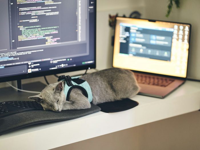 两篇帖子引发的快慢思考：AI如何成为普通人的“胜负手”？​​