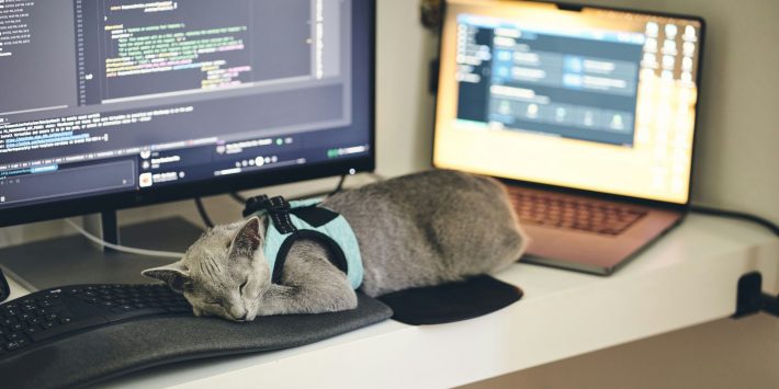 两篇帖子引发的快慢思考：AI如何成为普通人的“胜负手”？​​